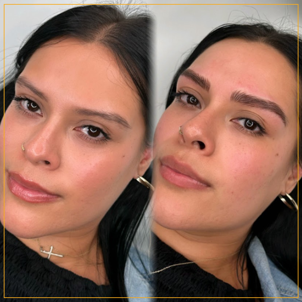 Nano Brows 1